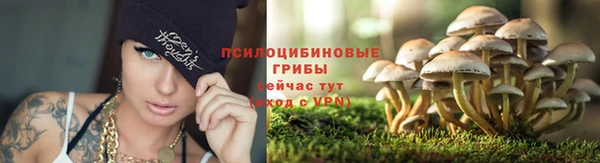бошки Майский