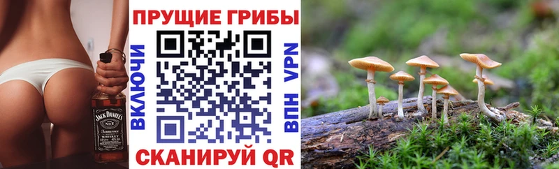 кракен онион  купить закладку  Малаховка  Псилоцибиновые грибы GOLDEN TEACHER 